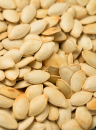 白底上的南瓜子