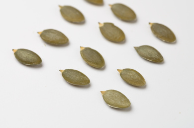 白底上的南瓜子