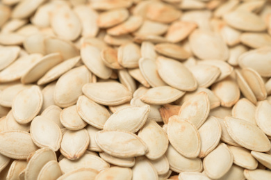 白底上的南瓜子