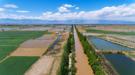 贺兰山下宁夏平原稻田风光