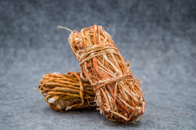 中药材五指毛桃