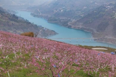 四川宜宾屏山向家坝库区