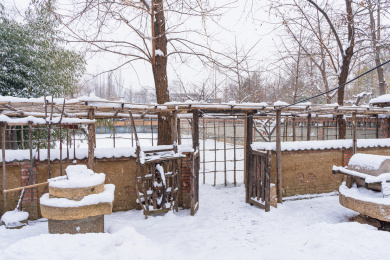 雪中的院子农村乡下