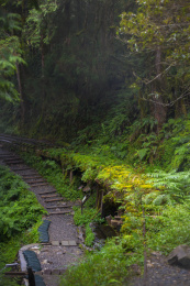 中国台湾宜兰县太平山见晴古道