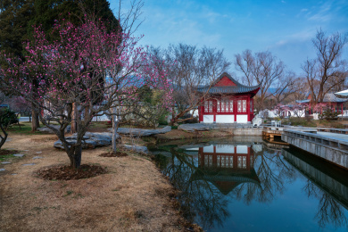 中国江苏南京梅花山红楼艺文苑风光