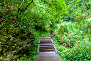 中国四川乐山峨眉山