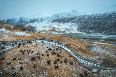 青海果洛州玛沁县雪山乡冬季高原乡村自然