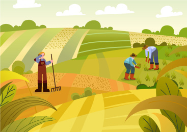 二十四节气之芒种