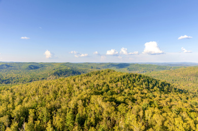 中国黑龙江伊春汤旺河林海奇石风景区
