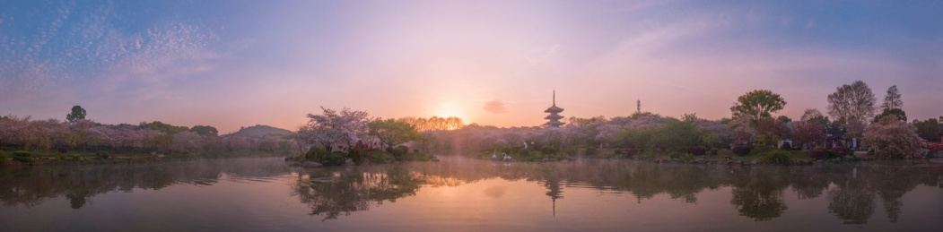 春天中国湖北武汉东湖樱园日出全景
