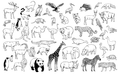 手绘各式动物插图