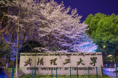 武汉理工大学图片樱花图片