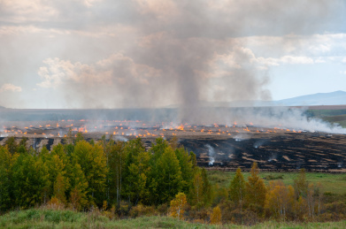 燃烧的麦秆秸秆焚烧