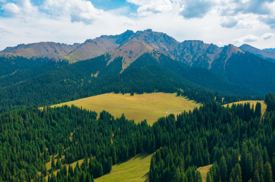中国新疆奇台县江布拉克天山森林草原自然