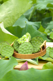 篮子里装着新鲜莲蓬