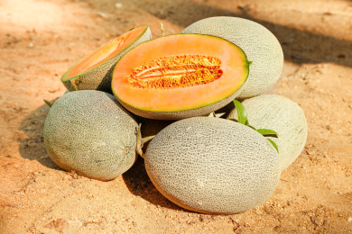 沙地上摆放着网纹哈密瓜