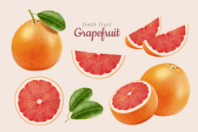 美味写实多角度切片葡萄柚插图
