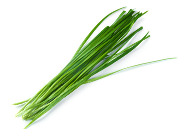 白底上放着嫩韭菜 韭菜