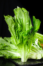 黑底上的油麦菜