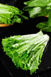 黑底上的油麦菜