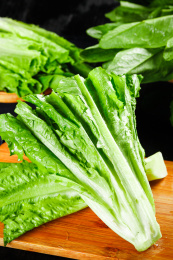 木底上摆放着油麦菜