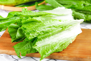 木底上摆放着油麦菜