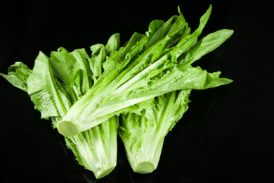 黑底上摆放着油麦菜