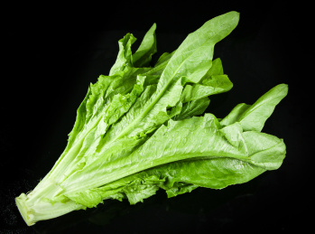 黑底上摆放着油麦菜