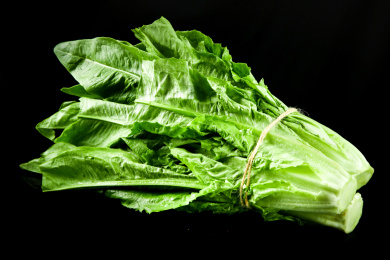 黑底上的油麦菜