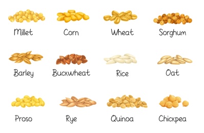 多款谷物粮食介绍插图