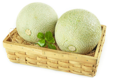 白底上放着新鲜玫珑网纹蜜瓜