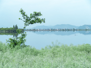 中国浙江绍兴东鉴湖水乡风景