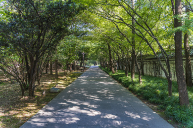 中国浙江绍兴柯岩风景区天工大佛