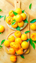 木底上摆放着陕西大黄杏