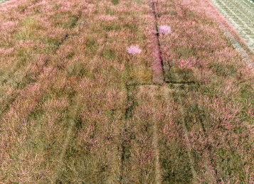 中国江苏苏州太湖西山岛消夏湾