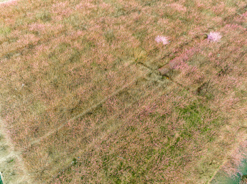 中国江苏苏州太湖西山岛消夏湾