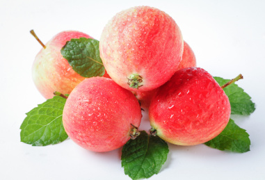 白底上摆放着东北海棠果