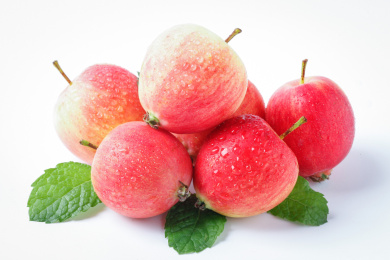 白底上摆放着东北海棠果