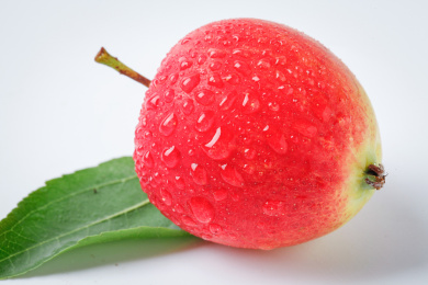 白底上摆放着东北海棠果