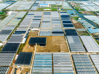 中国江苏省苏州市吴江国家现代农业示范区