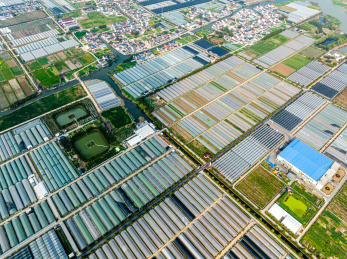 中国江苏省苏州市吴江国家现代农业示范区
