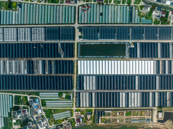 中国江苏省苏州市吴江国家现代农业示范区