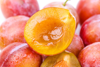 白底上的新疆法兰西西梅