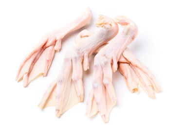 白底上放着鸭掌 鸭掌