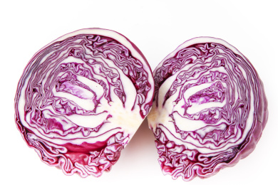 白底上放着紫包菜