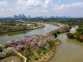 广州海珠国家湿地公园航拍