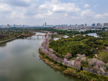 广州海珠国家湿地公园航拍