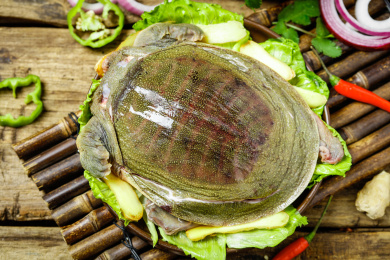 盘子里装着甲鱼