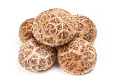 白底上放着花菇 花菇