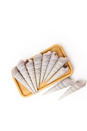 白底上的钉螺 钉螺